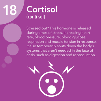 cortisol hormone